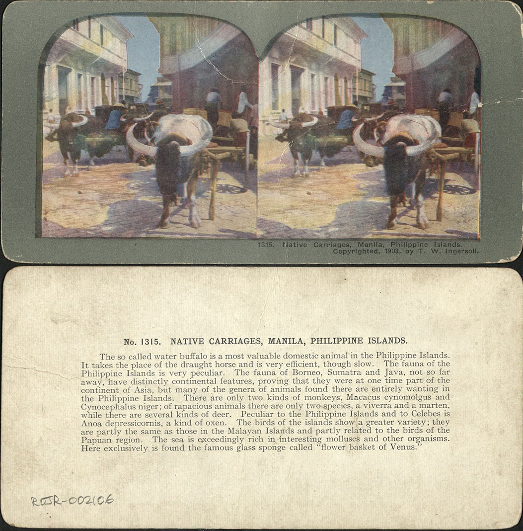 Native Carriages, Manila, Philippine Islands.